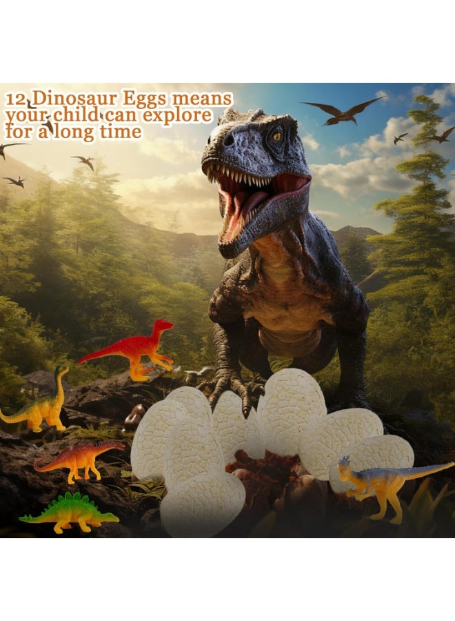 Dino Eggs Dig Kit, 12 Dinosaur Egg Pack Science Education Excavation Set for Ages 3 and up,Dinosaur Science Preschool Archaeology Craft Gifts for Boys and Girls - Image 4